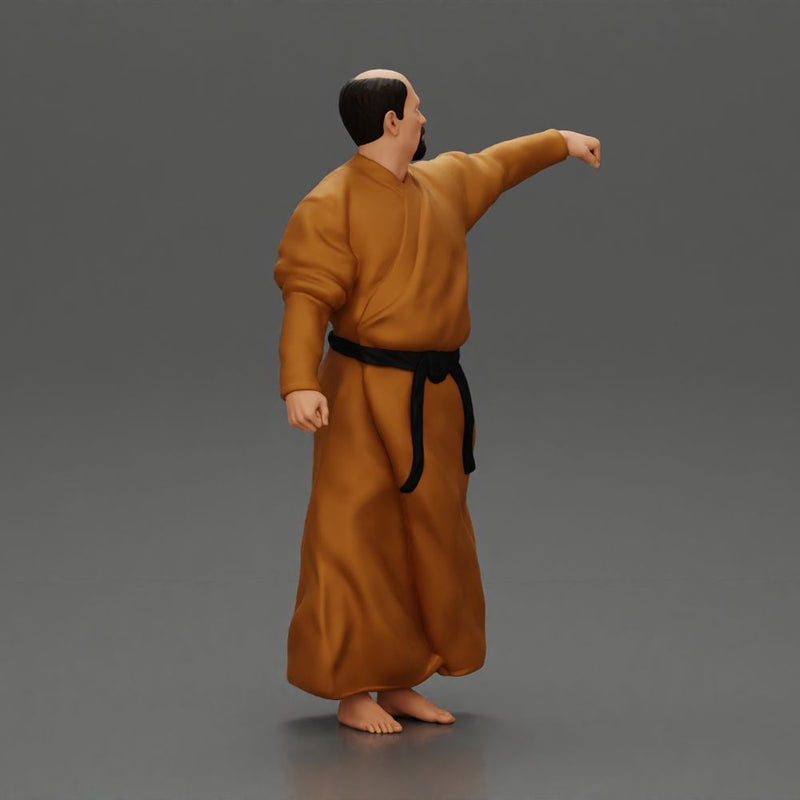 kung fu master performing kung fu moves