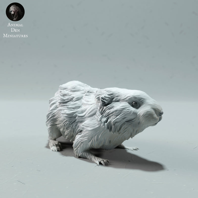 Arctic Lemming 1/18