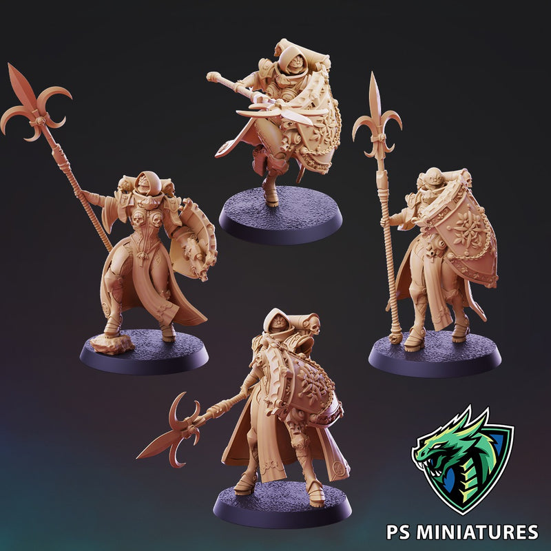 Divine Order Shieldmaiden - 5 Model Bundle - Only-Games