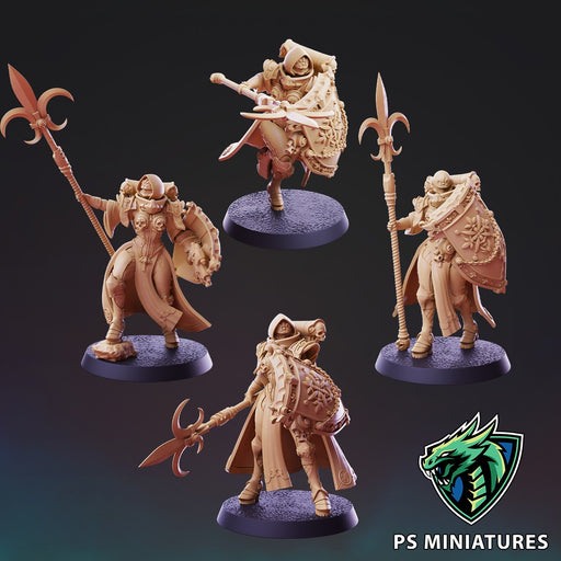 Divine Order Shieldmaiden - 5 Model Bundle - Only-Games