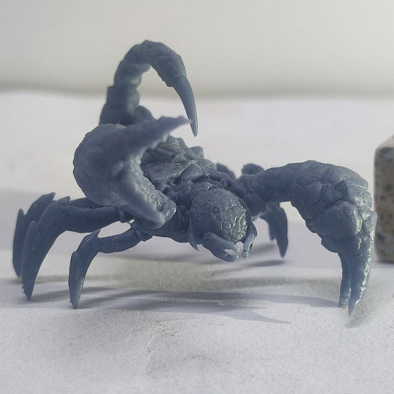 Cave Scorpion