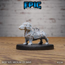 Construct Dachshund Set