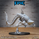 Steam-Tech X1100 Sharknator Set