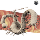 Rom, Budding Saint - Realsteone - Terrain Wargaming D&D DnD 32mm 40mm 54mm