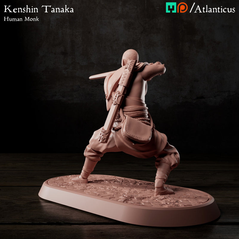 Kenshin Tanaka - Sword Guarding - Only-Games