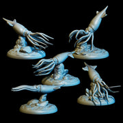 Cordoba Squid Pack (5) - Only-Games