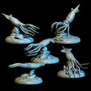 Cordoba Squid Pack (5) - Only-Games