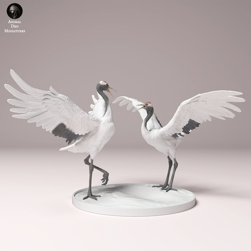 Red-Crowned Cranes Dance 1/87