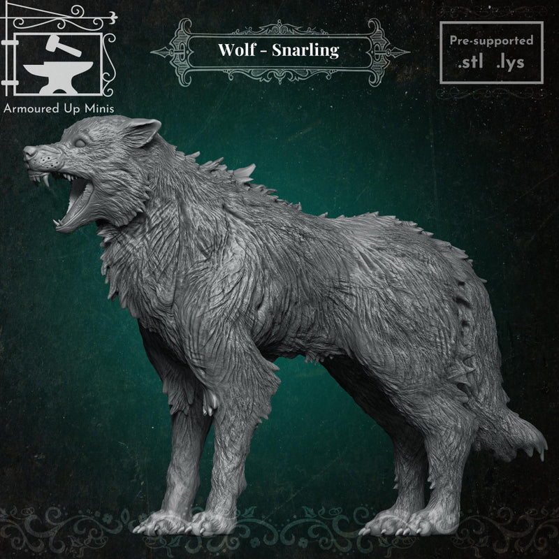 Wolf Snarling - Only-Games