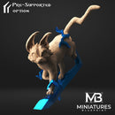 Skipper - Lightning - Normal - Cat ! - Only-Games