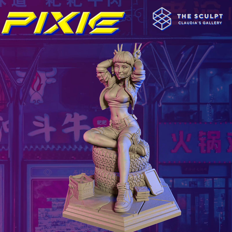 Pixie 75mm- Cyberpunk Character