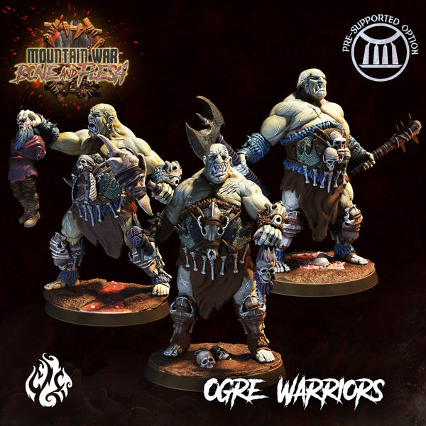 Ogre Warriors - Only-Games