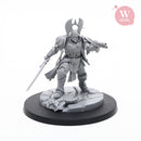 Imperial Paladin
