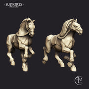 Amazon Horse Riders - 2 Units + Horses (AMAZONS! Kickstarter) - Only-Games
