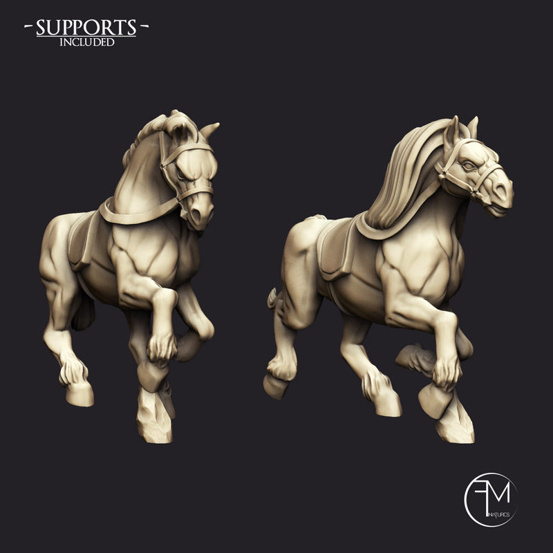 Amazon Horse Riders - 2 Units + Horses (AMAZONS! Kickstarter)