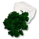 Clump Foliage - Fern Mid Green - Only-Games