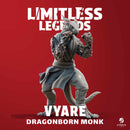 Dragonborn Monk - Vyare - Only-Games