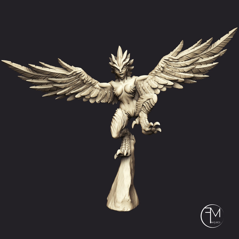 Cyclope & 2 Harpies (AMAZONS! Kickstarter) - Only-Games