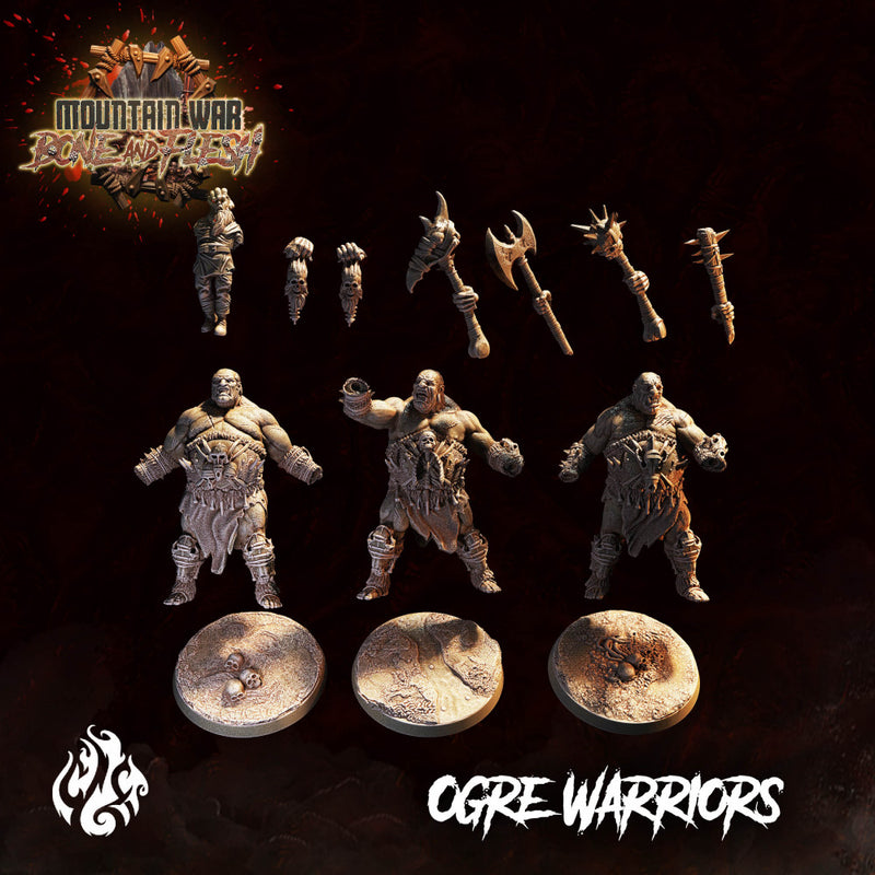 Ogre Warriors - Only-Games