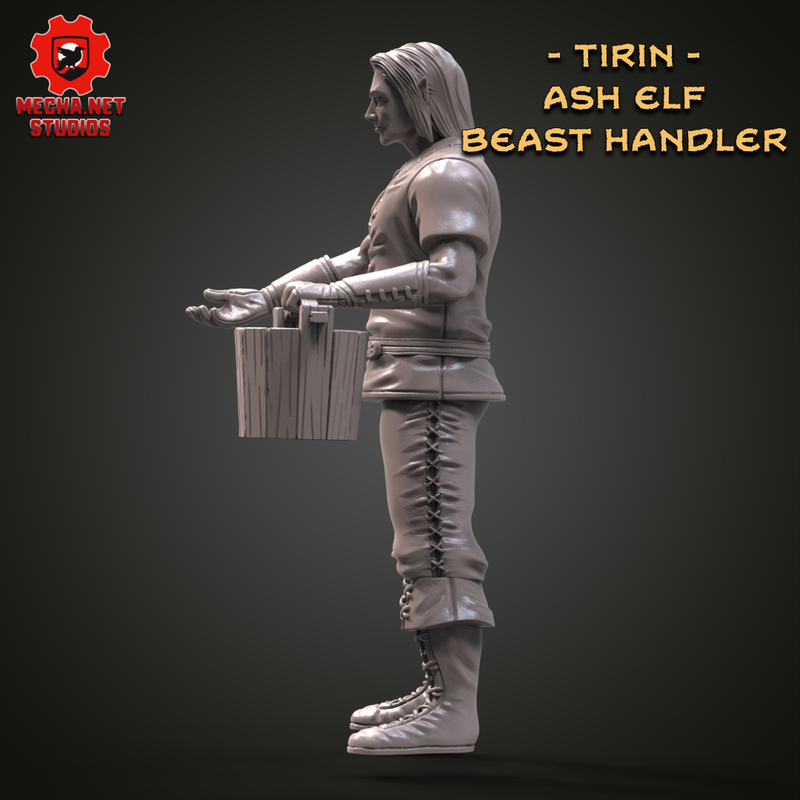 Tirin - Ash Elf Beast Handler