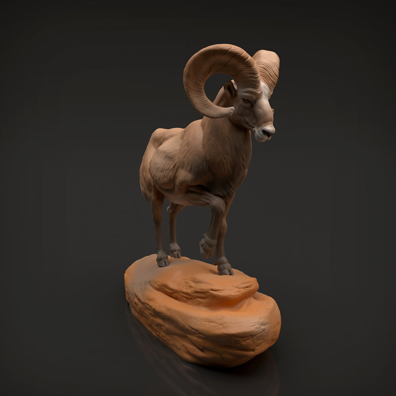 Bighorn Ram 1/32