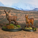 Into the Wild - 4 Deer - Only-Games