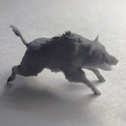 Boar - Only-Games