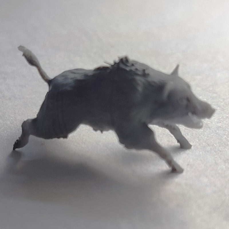 Boar - Only-Games