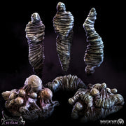 Spider Cocoons - Only-Games