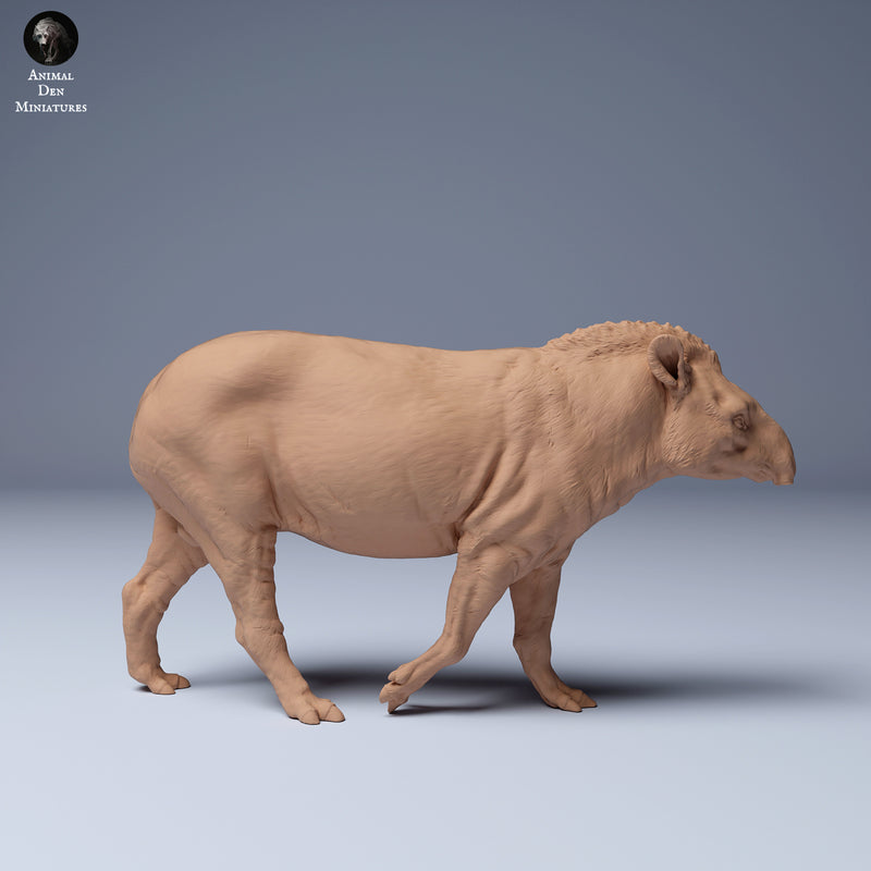 Brazilian Tapir Walking 1/43 - Only-Games