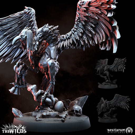 Harpies x 3 - Only-Games