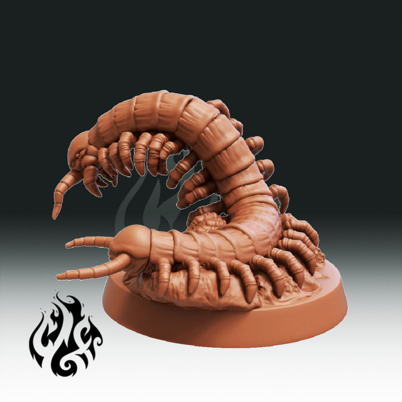 Giant centipede - Only-Games