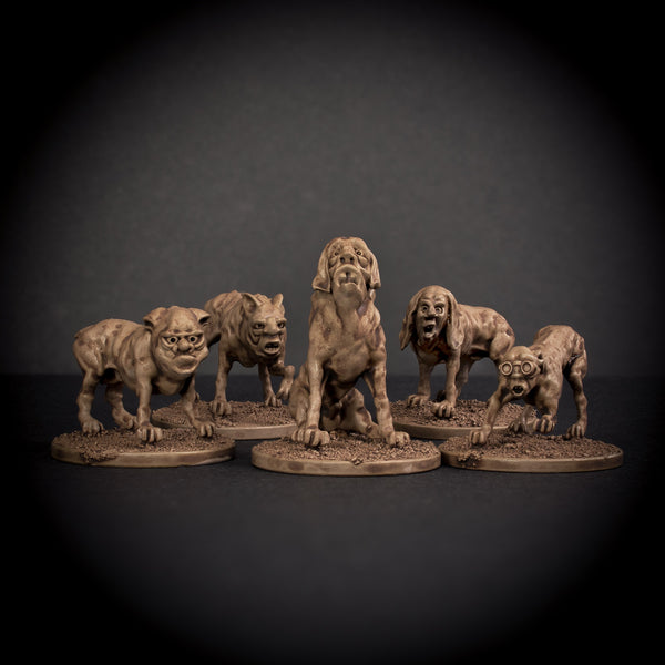 Man Hounds Pack of 5