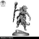 The Lycan Druid - Only-Games