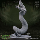 Truebloods Warband - Only-Games