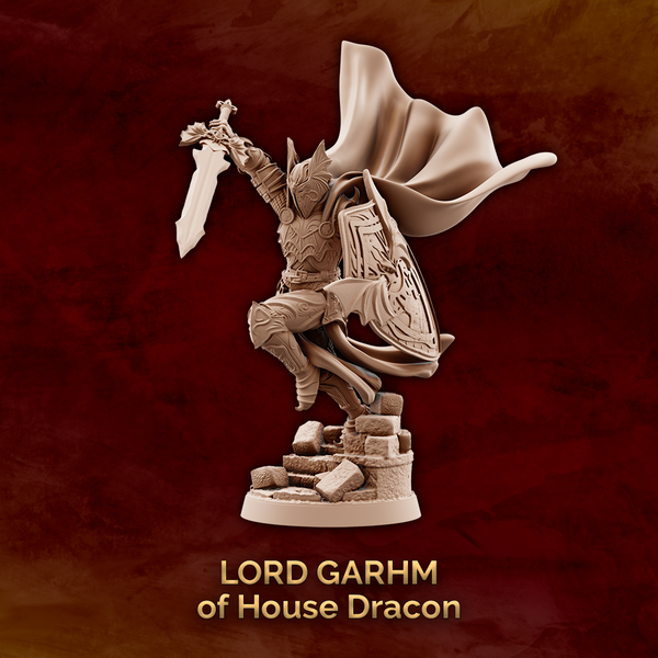 Lord Garhm of House Dracon - Fighter