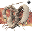 Rom, Budding Saint - Realsteone - Terrain Wargaming D&D DnD 32mm 40mm 54mm