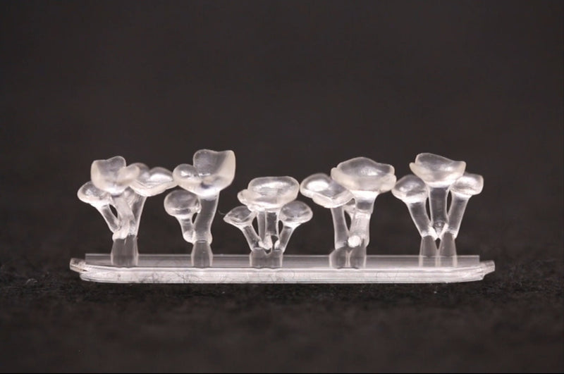 Oyster Mushrooms - DIY Dice Inclusions - Only-Games