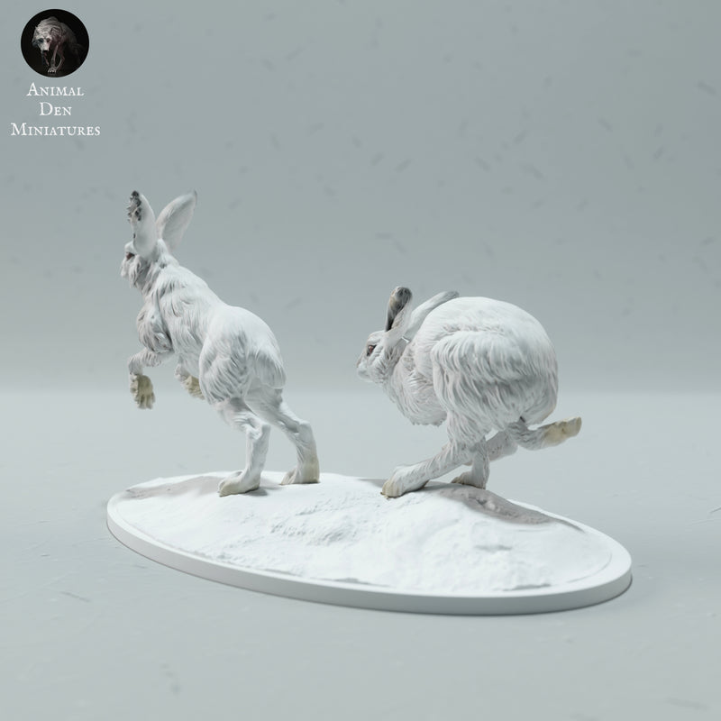 Arctic Hares Run 1/32