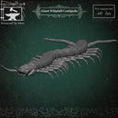 Giant whiptail Centipede - Only-Games