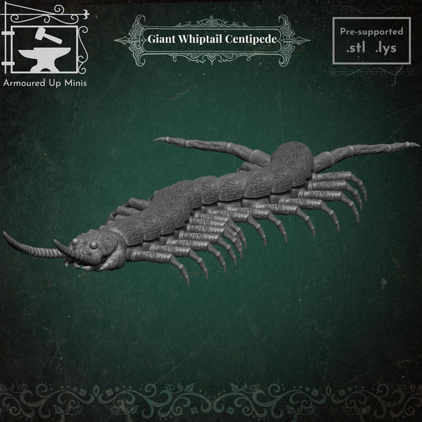 Giant whiptail Centipede