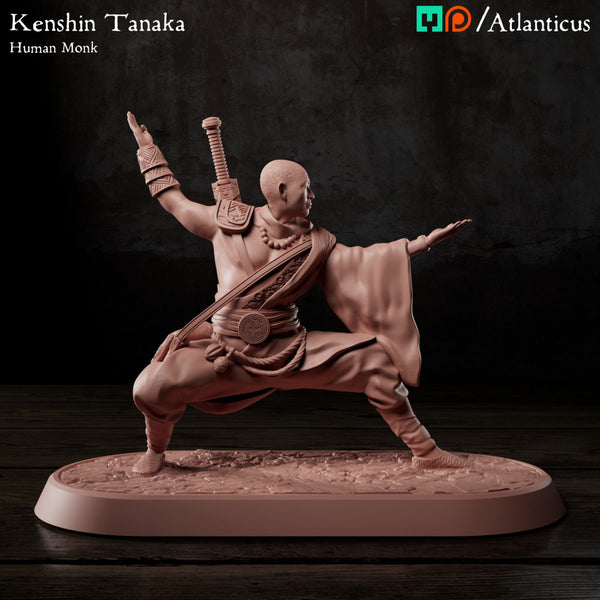 Kenshin Tanaka - Unarmed Backstance