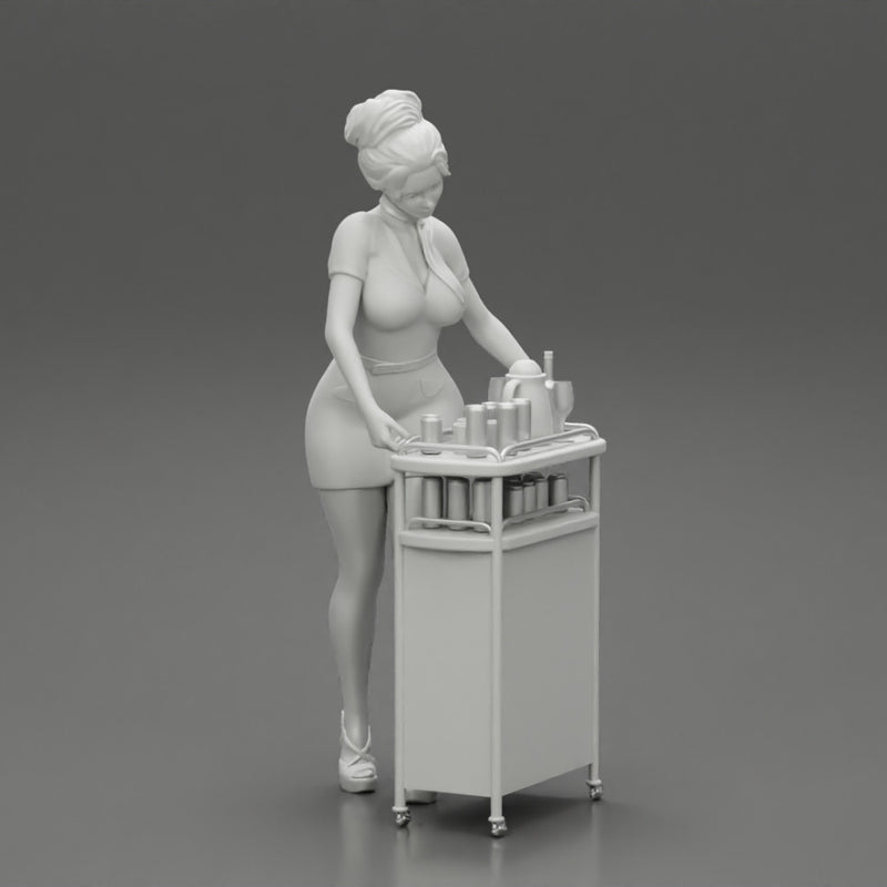 2 Models - flight attendant serving drinks to passengers on board - Only-Games