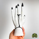 [MULTI COLOR] Female Hand Book Holder - Only-Games