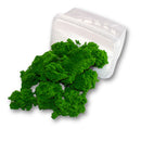 Clump Foliage - Fern Light Green - Only-Games