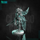 (0262) Female fairy warrior paladin cleric with a complete armor and sword - Only-Games