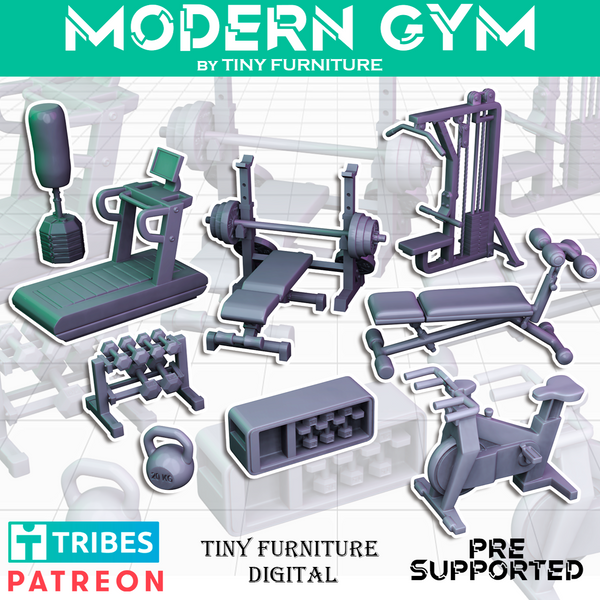 Modern Gym - Only-Games