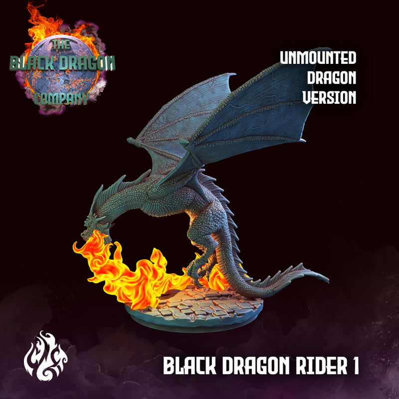 Black Dragon Rider - Only-Games