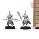 The Raidmaster's Bodyguards