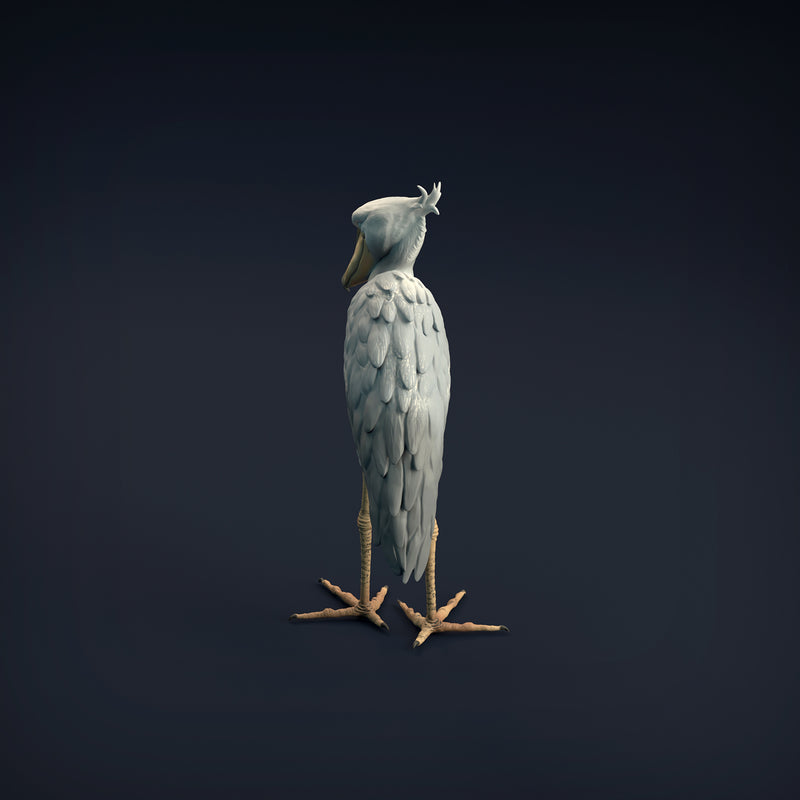 Shoebill 1/32 - Only-Games